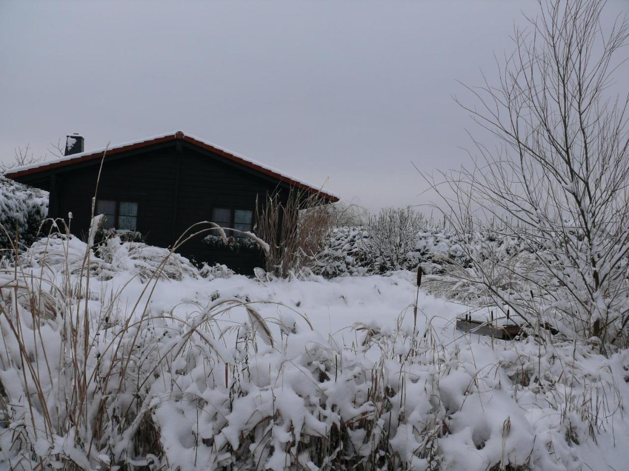 Ferienhaus Hohenlubast Grafenhainichen Eksteriør billede